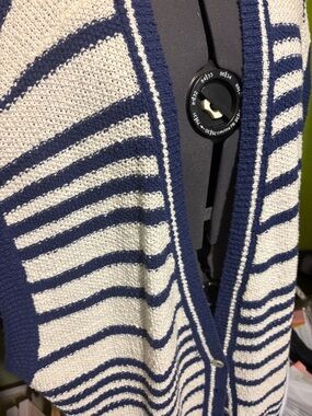 Maeve Navy and Cream Striped Button-Front Sweater Vest